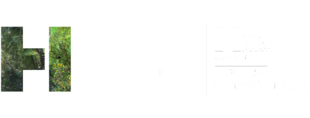 HydrogenLatinaAmerica2025